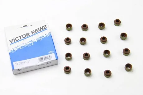 Комплект сальників клапанів RZ VICTOR REINZ 12-29491-01