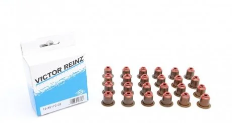 Комплект сальників клапанів RZ VICTOR REINZ 12-35172-02