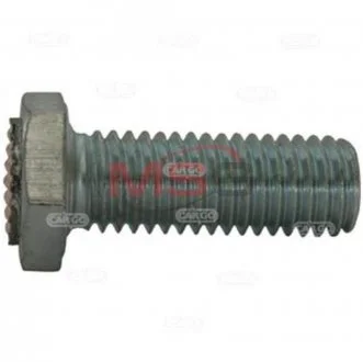 Контакт втягивающего реле стартера (болт) CARGO 133570