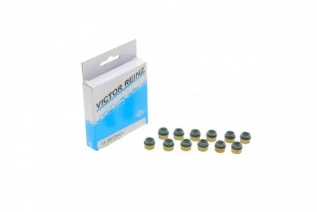 Комплект сальників клапанів RZ VICTOR REINZ 12-26058-01