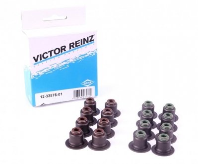 Сальники клапанів (комплект) RZ VICTOR REINZ 12-33876-01 (фото 1)