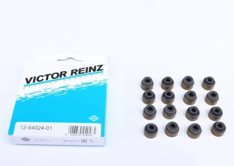 Комплект сальників клапанів RZ VICTOR REINZ 12-54024-01