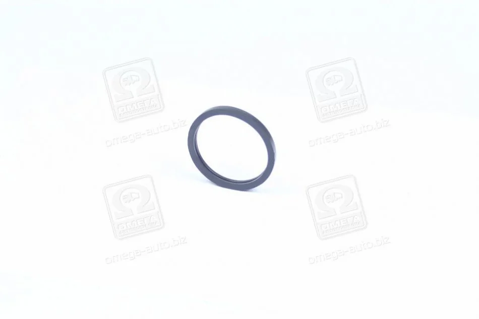 Прокладка термостата DAEWOO/CHEVROLET AVEO 1,5 8V (вир-во, Korea) PARTS-MALL P1E-C003 (фото 1)