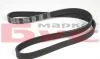 Ремінь MEYLE 050 006 1250 (фото 2)