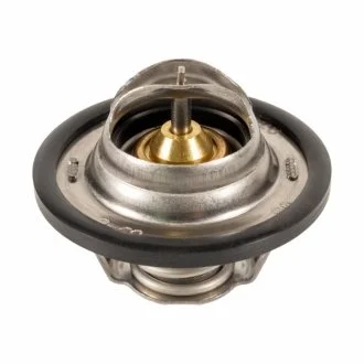 Термостат Dacia LOGAN, Opel VIVARO SWAG 60924028 (фото 1)