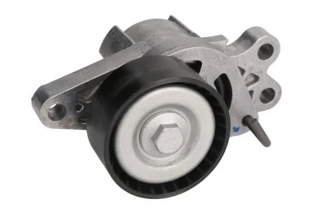 Натяжник ременя генератора Citroen Berlingo 1.1-1.6 96- (60x26) SKF VKM 33300