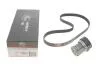 Комплект ременя генератора Audi A2/Seat Ibiza/Skoda Fabia/VW Golf/Polo 1.4/1.6/1.6FSI 97-15 (6PK1078) Gates K036PK1078 (фото 1)