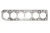 Прокладка, головка циліндра EL ELRING 225.100 (фото 1)
