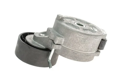 Натяжник ременя генератора Ford Mondeo IV/Peugeot 407 2.0TDCi/2.2 HDi 06- DAYCO APV2424
