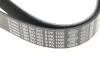 Поліклиновий ремінь 1 987 947 053 BOSCH 1987947053 (фото 5)