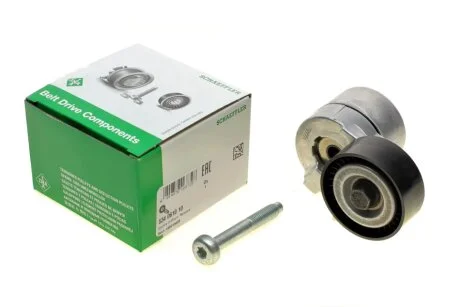 Натяжник ременя генератора Fiat Doblo 1.6D/2.0D Multijet 10- INA 534061010