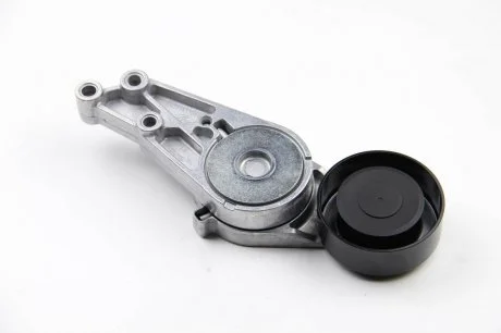 Натяжник ременя генератора Audi A4/A6 1.8-2.0 TSFI 00-08 (d=76mm) Gates T38207