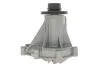 Помпа води MB C-class (W202)/E-class (W210) OM604 93-02 (WPQ0673) MAGNETI MARELLI 352316170673 (фото 4)