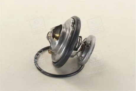 Термостат, охолоджуюча рідина Vernet TH5699.80J