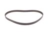 Комплект ГРМ Fiat Scudo 2.0D/Citroen Jumpy/Peugeot Expert 2.0HDI 07- (25.4x116z) Contitech CT1091K1 (фото 10)