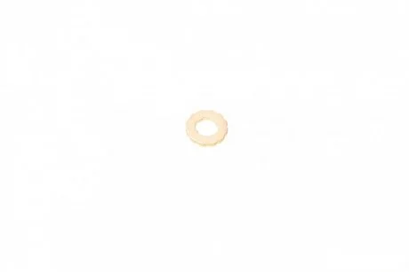 Шайба под форсунку Man/Neoplan/Temsa 02- BOSCH F00RJ02175