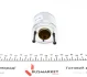 Реле стартера втягуюче Renault Kangoo 1.6 01- Valeo 594438 (фото 4)