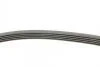 Ремінь генератора VW Touareg 4.2 FSI 06-18/Toyota Avensis/Camry/Corolla 1.8/2.0D 86-03 Contitech 5PK1120 (фото 2)