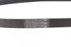 Ремінь генератора Renault Master 2.2/2.5dCi 00-/Peugeot 306/405 1.8/1.9D 93-01/Ford Fiesta 1.8 00-02 Contitech 6PK1145 (фото 2)