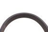 Ремінь генератора Citroen Jumper/Fiat Ducato 2.0/2.2HDi/JTD 02- Contitech 6PK1173 (фото 4)
