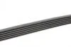 Ремінь генератора Opel Combo/Astra/Vectra/Omega 1.2-2.2 91-03/BMW 1 (E81/E87) 2.0D 04-11 Contitech 6PK1800 (фото 2)
