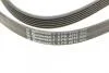 Ремень генератора MB Vito OM601/602 (AC)/M111 (PS) Contitech 6PK2013 (фото 4)