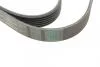Ремінь генератора VW LT 2.5TDI 96-06/Jeep Cherokee/Wrangler 2.4 01-08/BMW 5 (F10/F07/F11) 3.0D 10-17 Contitech 6PK2145 (фото 3)