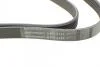 Ремінь генератора VW LT 2.5TDI 96-06/Jeep Cherokee/Wrangler 2.4 01-08/BMW 5 (F10/F07/F11) 3.0D 10-17 Contitech 6PK2145 (фото 4)