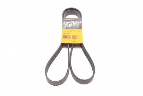 Ремінь генератора BMW 5 (E34)/7 (E32/E38)/8 (E31) 3.0i/4.0i 92-Land Rover Discovery 2.5TDI Contitech 7PK1605