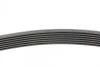 Ремінь генератора BMW 5 (E39/F10)/7 (E38) 3.5i/4.0i 96-03 Contitech 7PK1635 (фото 2)