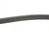 Ремінь генератора MB C-class (W202) 93-01/E-class (W124) 93-98/Ssangyong Korando 96-06/Dodge 06- Contitech 6PK2040 (фото 2)