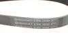 Ремінь генератора Hyundai Santa Fe 12-15/Jeep Patriot 2.4 08- Contitech 6PK2550 (фото 4)