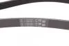 Ремінь генератора Mitsubishi Space Runner/Wagon/Hyundai Santa Fe/Kia Sorento 2.0/2.4 GDI 99- Contitech 5PK1393 (фото 2)