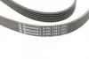Ремінь генератора Peugeot 206/306/4007/406/4007/Citroen C5 1.9TD/2.0/2.2HDI 96-/Ford Galaxy 2.2 08- Contitech 6PK1743 (фото 4)