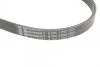 Ремінь генератора Toyota Avensis/Corolla 2.0D 03-09/Hyundai i10 1.0 13- Contitech 5PK1250 (фото 4)