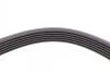 Ремінь генератора Opel Astra 1.7CDTi 03-/Renault Megane/Laguna 1.9-3.0 97-03/BMW 1 (E81/E87) 04-11 Contitech 6PK1605 (фото 3)