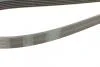 Ремінь генератора MB E-class (W211) 5.5 02-08 (M113)/Land Rover Range Rover 5.0SCV8 13- Contitech 6PK2445 (фото 3)
