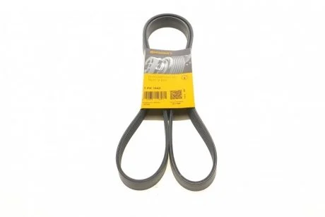 Ремінь генератора Nissan Terrano/Patrol 3.0 DTi 00-/Honda Accord/Civic 2.0/2.2 01- Contitech 7PK1642