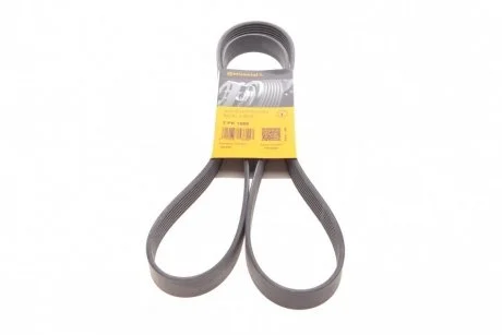 Ремінь генератора BMW X5 (E70) 4.8i 07-08/Renault Master/Opel Movano 2.3 dCi/CDTI 10- Contitech 7PK1666