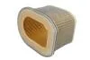 Фильтр воздушный FILTRO HIFLO HFA2802 (фото 1)