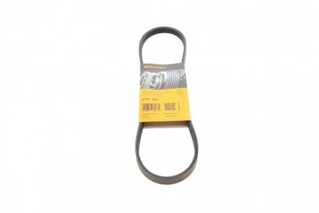 Ремінь генератора Honda Civic VI/Nissan Primera/Citroen Berlingo 1.4-1.6 16V 94-05 Contitech 4PK800