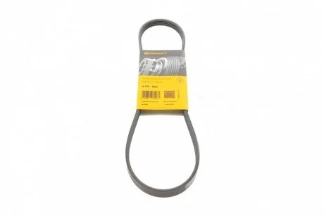 Ремінь генератора Honda Civic/Nissan Primera Contitech 4PK845