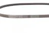 Ремінь генератора Toyota Yaris 99-14/Corolla 92-95/Mazda Premacy 99-05/626 91-02/323 98-04 Contitech 4PK920 (фото 2)
