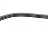 Ремінь генератора Fiat Fiorino 1.4/1.6i 93-01/Mitsubishi Galant 1.8/2.0 87-03/Toyota Hilux 2.4 97-05 Contitech 4PK938 (фото 4)