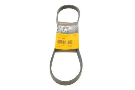 Ремень генератора Daewoo Lanos 1.3 97-/Subaru Forester/Impreza/Legacy 1.5-2.5 AWD 03- Contitech 5PK869