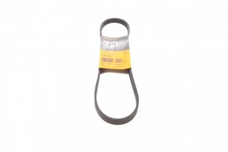 Ремінь генератора Ford Fiesta 1.8 DI 95-02/Toyota Rav4 2.0D 4WD 01-05 Contitech 5PK884