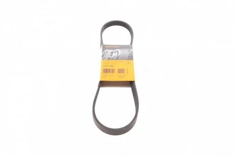 Ремінь генератора BMW 3 (E36)/5 (E34/E39) 95-03 Contitech 5PK906