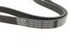 Ремінь генератора поліклиновий VW Caddy 1.6-2.0TDI 15-/Peugeot 2008/306/307/406 1.2-1.6 03- BOSCH 1987946062 (фото 2)