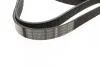 Ремінь генератора поліклиновий VW Golf/BMW/Ford/Opel (6PK1540) BOSCH 1987946099 (фото 2)