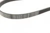 Ремінь генератора поліклиновий Fiat Scudo 2.0 JTD 99-06 (5PK970) BOSCH 1987947812 (фото 3)